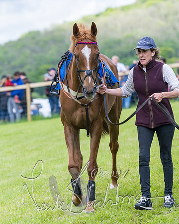 Race 3 - Conditions (6 of 367)