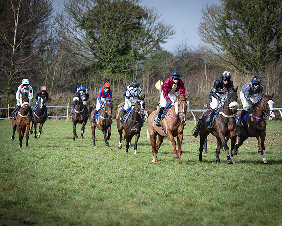 Race 3 - The Maiden Conditions (73 of 214)