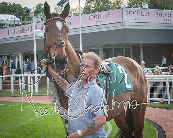 Race 5 - Mares Open Hunter Steeplechase 3m2f 70y (21 of 269)