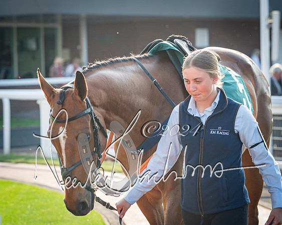Race 4 - The Jonathan Neesom memorial open Hunter’s steeplechase 3m2f 70y (5 of 167)
