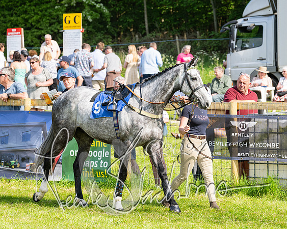 Race 5  - Maiden race 2m5F Div-1 (33 of 197)