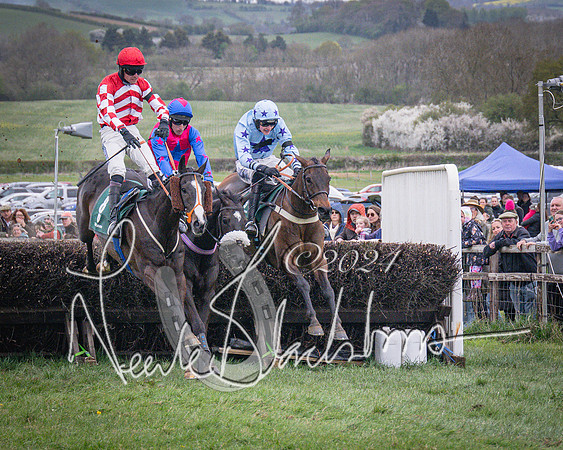 Race 6 - The Restricted Race (70 of 101)