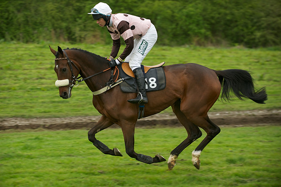 Race 7 - 2m4f Maiden 14