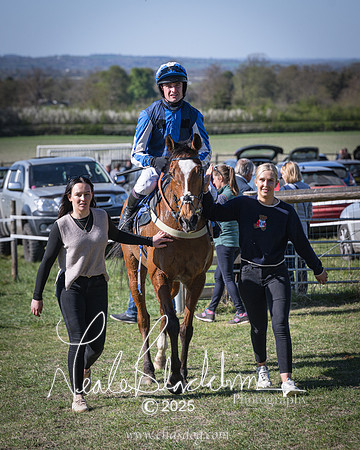 Race 6 - Veteran horse (101 of 109)