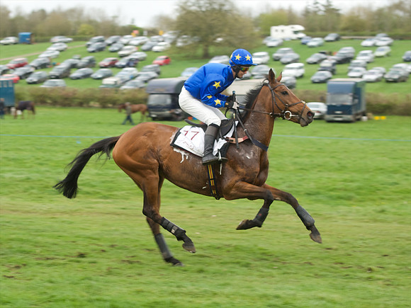 Race 6 - Maiden  29