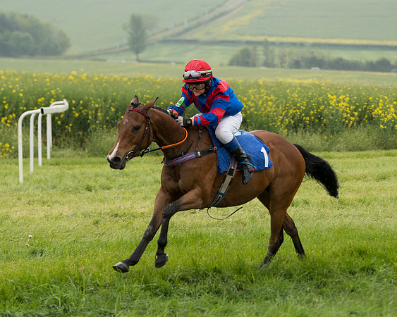 Pony Race 1  (74 of 125)