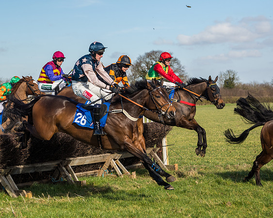 Race 1 - Open Maiden Division 1 (75 of 170)