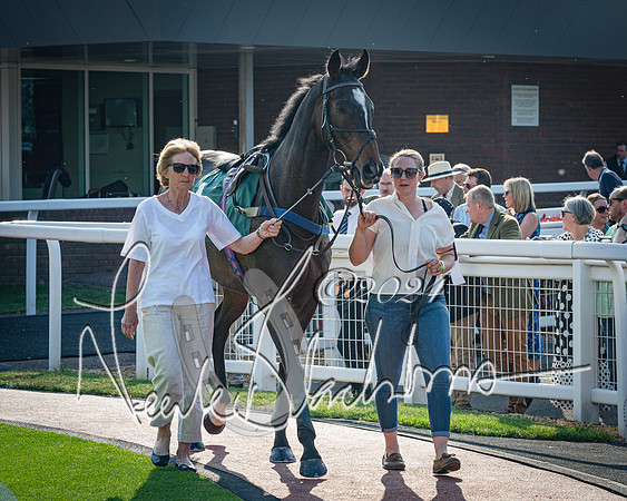 Race 3 - The Junior Jumpers open hunter's steeple chase 3m1f56y (9 of 156)