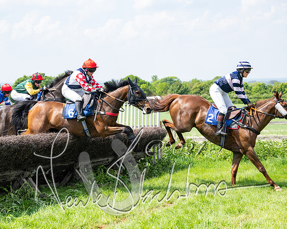 RAce 1 - Conditionsn [Level 2] (136 of 219)