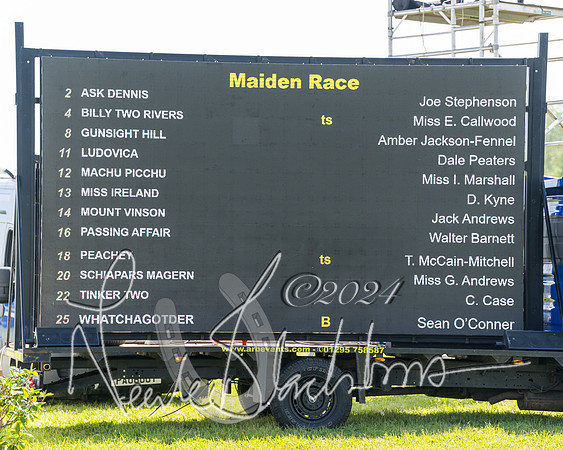 Race 2 - The Maiden  (6 of 442)