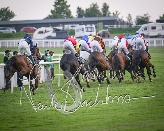 Race - 7 The Royal Gloucester Hussars Open Hunter's steeplechase 2m4f 127y (81 of 210)