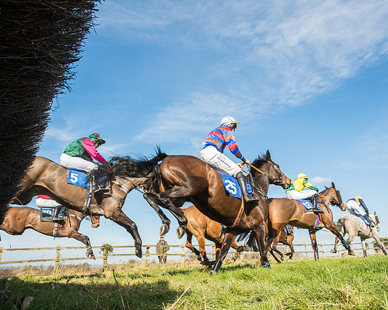 Race 1 - Open Maiden Division 2 (77 of 173)