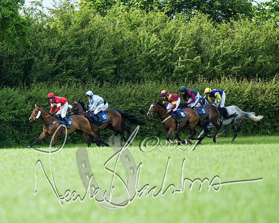 Race 5 - Restricted Race (249 of 434)