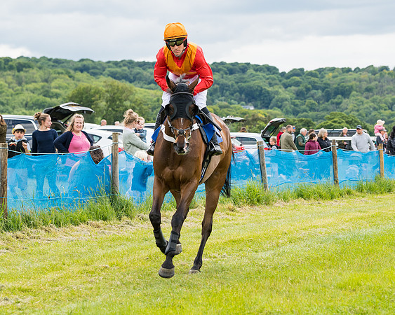 Race 2 - PPORA Novice Riders  (52 of 187)