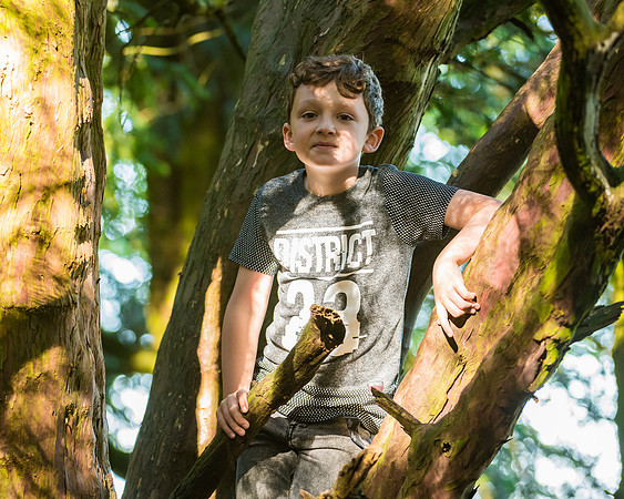 Lucy Fin and the Gruffalo Hunters of Wendover Woods (42 of 94)
