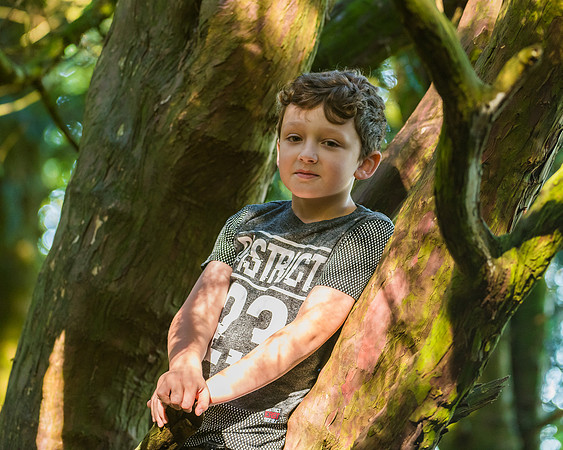 Lucy Fin and the Gruffalo Hunters of Wendover Woods (44 of 94)