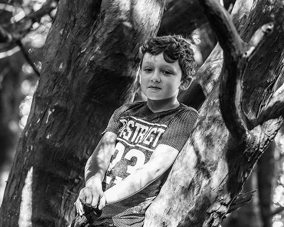 Lucy Fin and the Gruffalo Hunters of Wendover Woods (45 of 94)