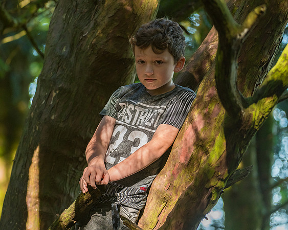 Lucy Fin and the Gruffalo Hunters of Wendover Woods (47 of 94)