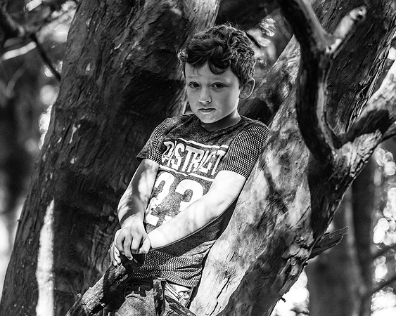 Lucy Fin and the Gruffalo Hunters of Wendover Woods (48 of 94)