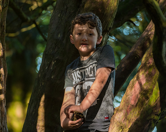 Lucy Fin and the Gruffalo Hunters of Wendover Woods (49 of 94)