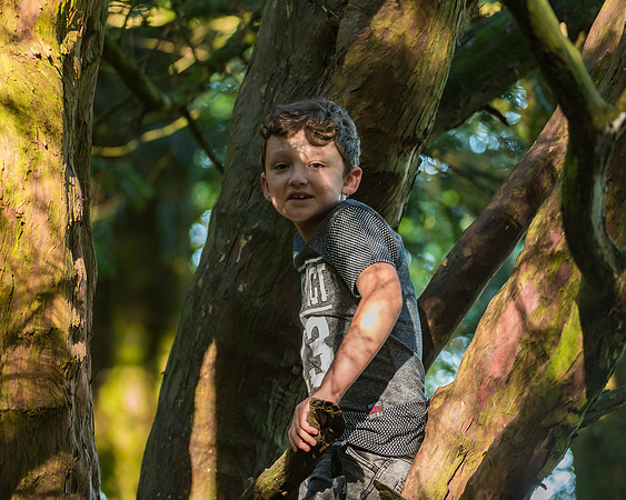 Lucy Fin and the Gruffalo Hunters of Wendover Woods (50 of 94)
