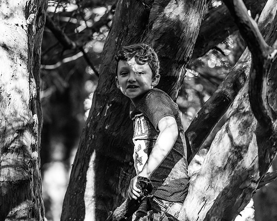 Lucy Fin and the Gruffalo Hunters of Wendover Woods (51 of 94)