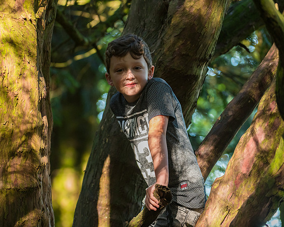 Lucy Fin and the Gruffalo Hunters of Wendover Woods (52 of 94)