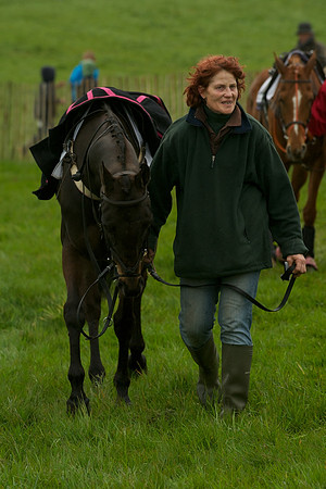 Race 8 - Pony Race 2 -  4