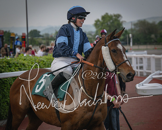 Race 5 - Mares Open Hunter Steeplechase 3m2f 70y (39 of 269)