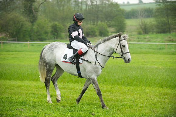 Ponies - 10