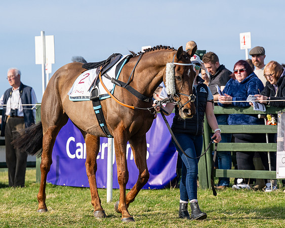 Race 5 - PPORA Five years and over (22 of 163)