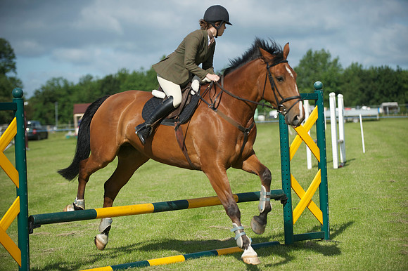 SOHS PC Summer Show at BCA 17th June 2012