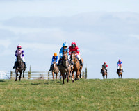 Oakley Ponies (8 of 96).jpg