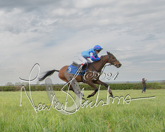 Pony Race 2 (63 of 84)-