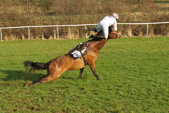 Race 7 - 30