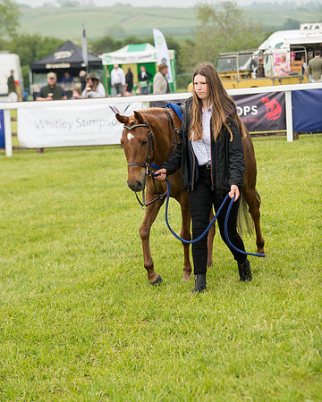 Pony Race 2 (14 of 113)
