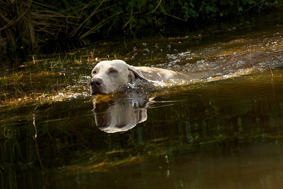 WCGB-04AUG-2013 Water Training Day 198