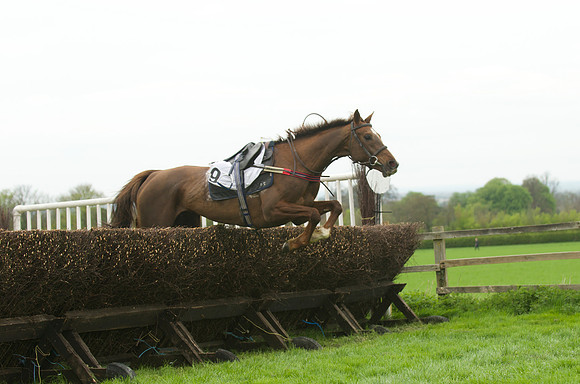 Race 3 - 4-5-6 Maiden 41