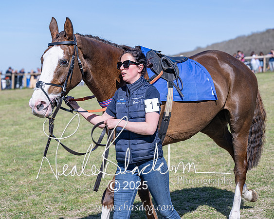 Race 5 - The restricted (10 of 113)