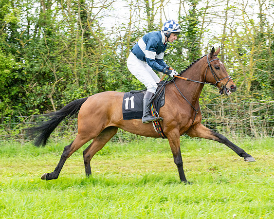 Race 2 - 2M4F Conditions (59 of 195)