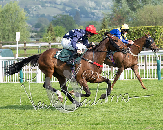 Race 1 - The Bottle Green Open Hunters steeplechase 2m62y (61 of 93)
