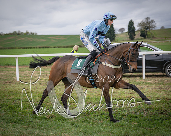 Race 6 - The Restricted Race (8 of 101)