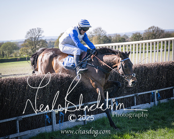 Race 6 - Veteran horse (92 of 109)