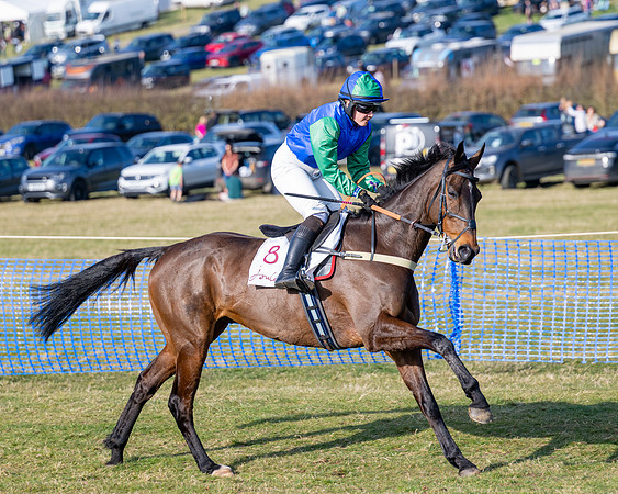 Race 5 - PPORA Five years and over (38 of 163)