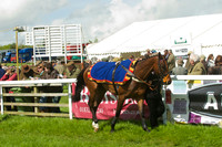 Race 2 - Open Maiden  2
