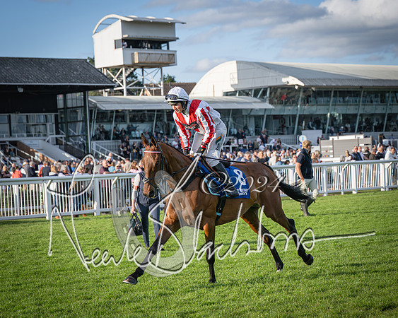 Race 4 - Peretemps Stratford Foxhunters (49 of 168)