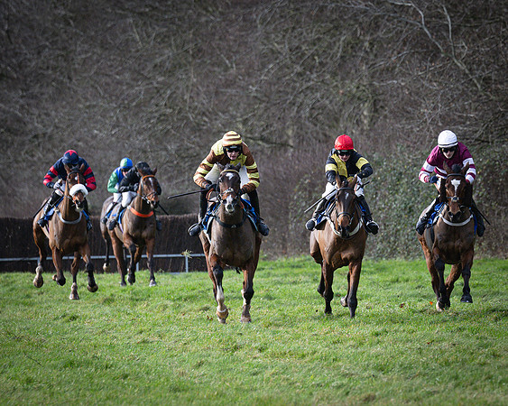 Race 1 - All Is True - Jack Andrews (19 of 38)