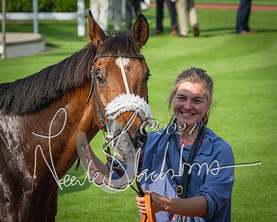 Race 1 - The Bottle Green Open Hunters steeplechase 2m62y (81 of 93)