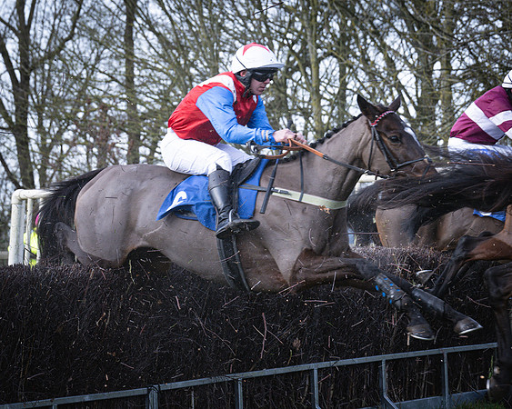 Race 2 - Maiden (81 of 145)