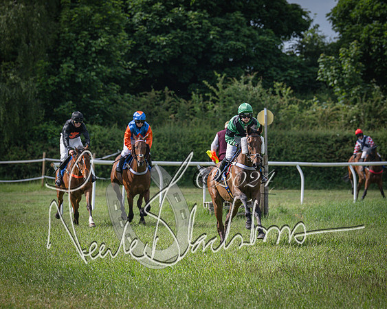 Race 4 - The Dickie Lim Mixed Open Race (32 of 101)